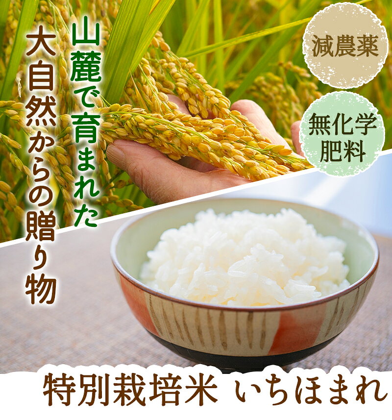 いちほまれ 5kg特別栽培米 令和7年 福井県産減農薬（農薬使用量5割以上削減）・無...