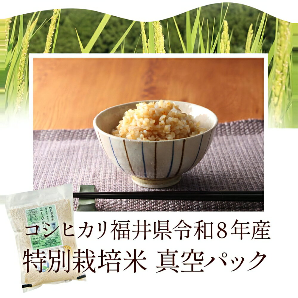 【新米入荷】発芽玄米 無農薬 コシヒカリ 「特選」5kg 無洗米 令和8年 福井県産 限定米 送料無料無農薬・無化学肥料栽培(農薬・化学肥料不使用)食物繊維・ビタミンB群・GABAが豊富アブシジン酸は未検出真空パックでお届け komean-10000580 発芽玄米のふくい味覚倶楽部 サンプル画像3