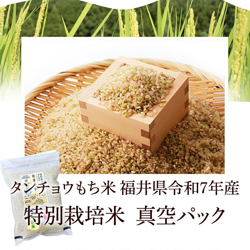 ȯ�긼�� ����� 3kg ̵���Ƥդä����ä������̺����� ����7ǯ ʡ�温����ʪ���ݡ��ӥ��ߥ�B����GABA���ߥͥ�뤬˭�٥��֥�������ϸ��Ф���Ƥ��ޤ���ե�å��忿���ѥå� �������ơ���̣�����ǧ����