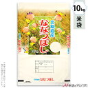 米袋 ラミ フレブレス 北海道産ななつぼし 妖精たち 10kg 【1ケース(500枚)】・【100枚 】 MN-7810