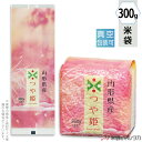米袋 ラミ 真空小袋ガゼット 山形産つや姫 あでやか 300g用(2合) 【1ケース(500枚)】・【100枚 】 VGN-402