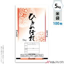 米袋 ポリ エポレン ひとめぼれ　花かげ 5kg 100枚セット EP-0014
