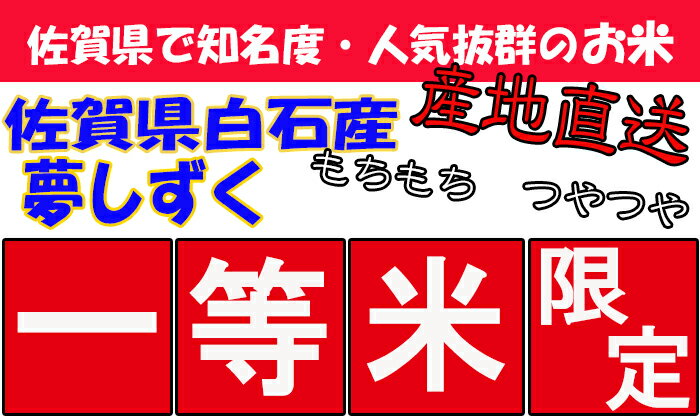 【令和3年産】【無洗米】【送料無料】　極上米 九州　佐賀県白石産　夢しずく　5kg×2