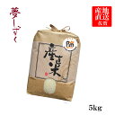 【令和2年産】【送料無料】佐賀県白石産　夢しずく 5kg佐賀県内の最高峰産地です。　極上米 九州　【05P02Aug14】【白石米】【3年連続特A】