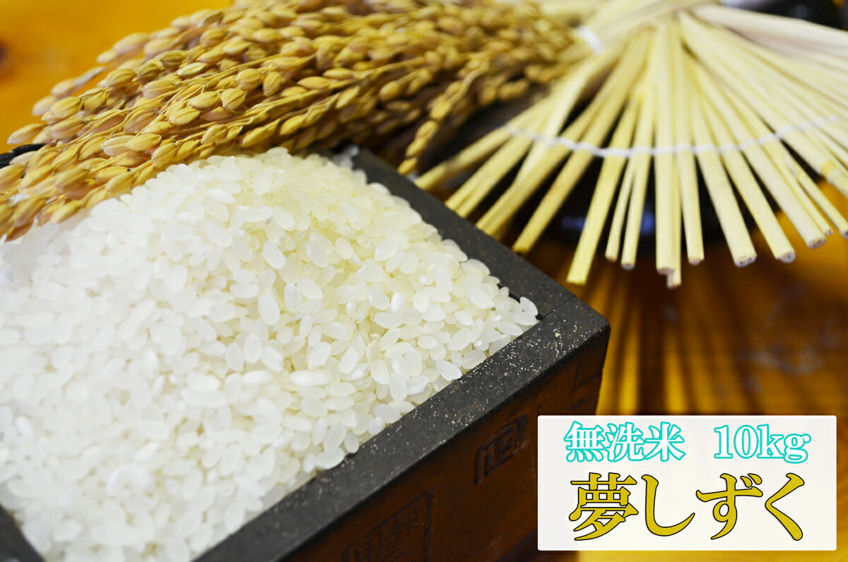 【令和3年産】【無洗米】【送料無料】　極上米 九州　佐賀県白石産　夢しずく　5kg×2