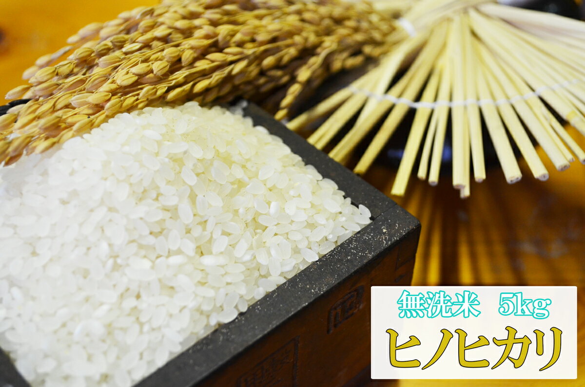 【送料無料】【無洗米】【令和3年産】九州　佐賀県産米ヒノヒカリ5kg店長激オシ【 05P4Apr12】