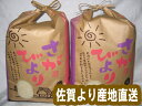 【令和6年産】【佐賀から直送】さがびより 産地厳選 10kg(5kg×2)【送料無料】14年連続「特A」 【佐賀米】【RCP】【九州産】【楽ギフ_のし】【楽ギフ...