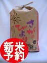 【ポイント10倍】【令和3年産 新米予約】【特A米】【佐賀から直送】産地厳選　さがびより　5kg　　佐賀県産米【九州産】【10P26Mar16】【お中元】