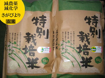 【玄米】【令和3年産】【さがびより】【5割以上減農薬・減化学肥料】【特別栽培米】　九州　佐賀県　5kg×2【10P26Mar16】