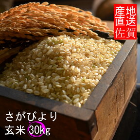 【令和5年産】【1等米限定】【佐賀から直送】さがびより 玄米30kg 産地厳選【送料無料　一部地域除く】12年連続最高ランク「特A」【佐賀米】【米　お米】【RCP】【九州産】【楽ギフ_のし】【楽ギフ_のし宛書】