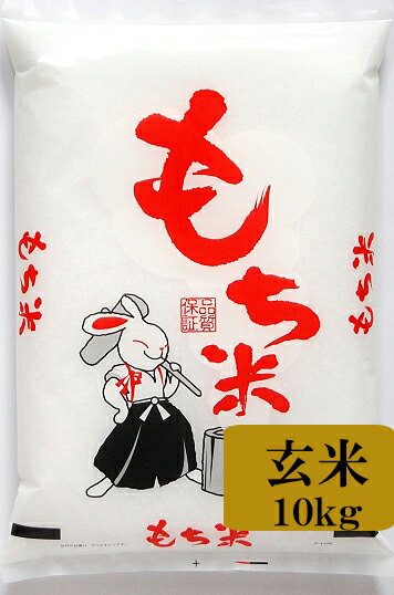 【ふるさと納税】【令和5年度産米】 もち米 ヒメノモチ 3kg (1.5kg×2) 山形県西川町産 FYN9-113