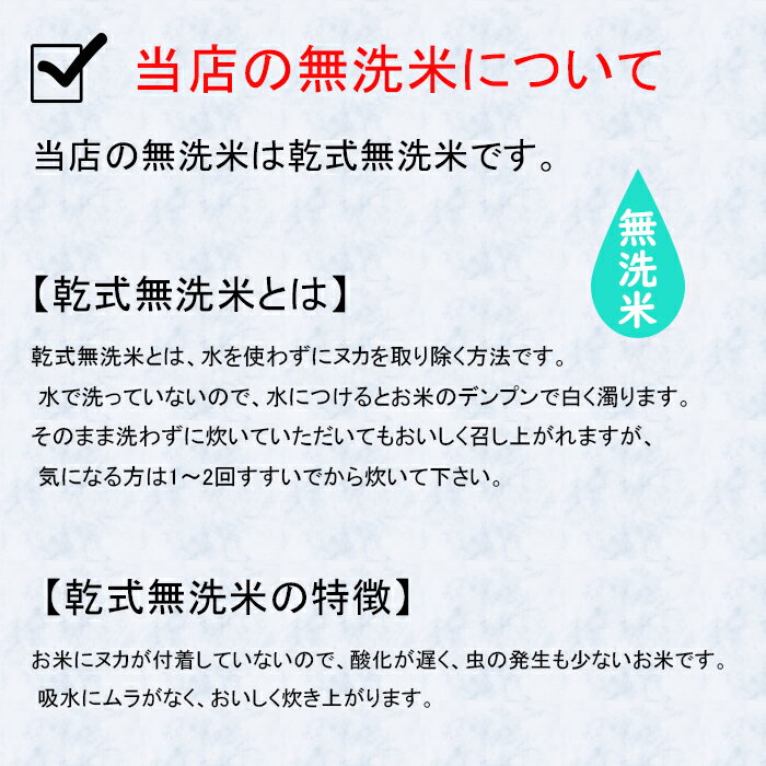 【令和3年産】【無洗米】【送料無料】　極上米 九州　佐賀県白石産　夢しずく　5kg×2