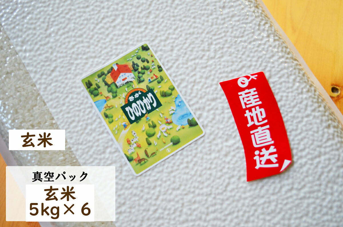 【令和5年産】【真空パック　玄米30kg】ヒノヒカリ5kg×