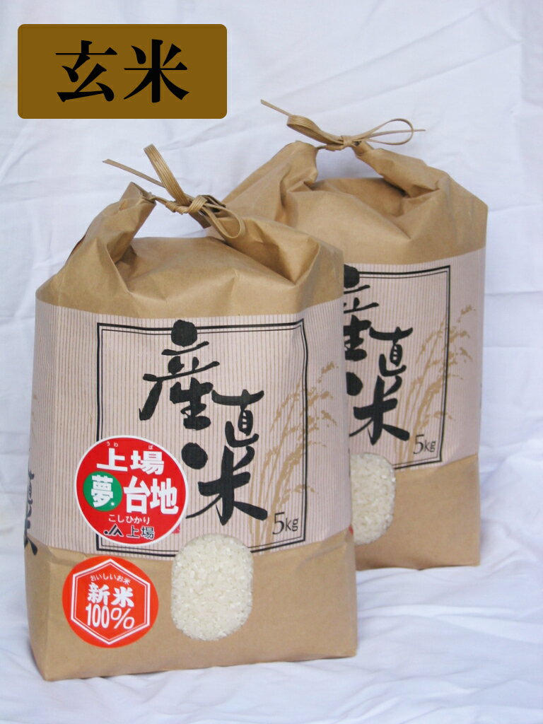 【玄米】【令和5年産】【送料無料】 佐賀県産上場コシヒカリ 棚田米 5kg 2【九州産】【0603superP5】