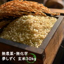 【令和元年産】【玄米30kg】【無農薬】【無化学肥料】　佐賀県産　夢しずく　特別栽培米　九州　【農薬不使用】【化学肥料不使用】