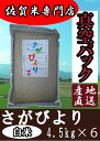 【29年産】【真空パック 白米27kg】【佐賀から直送】【1...