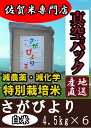 【30年産 新米 特A】【白米27kg 真空パック】【特別栽...