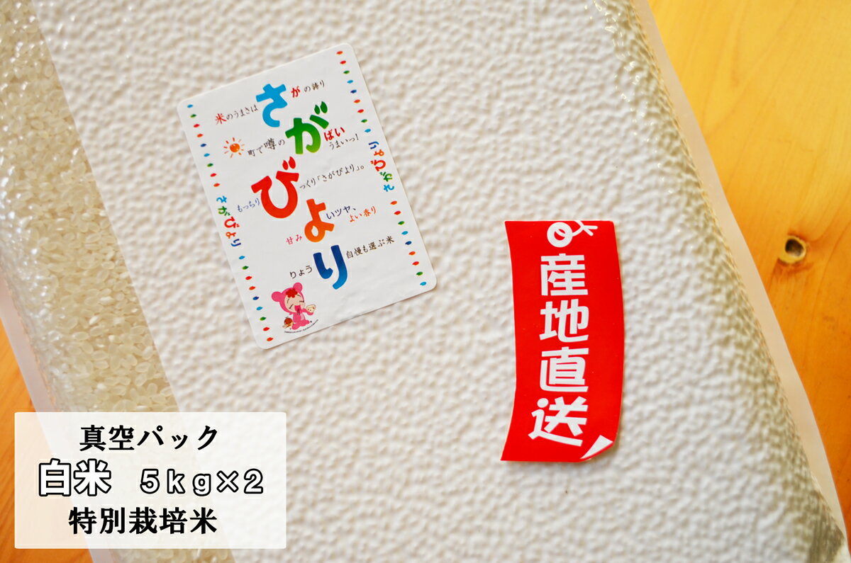 【令和3年産 】【白米10kg　真空パック】【特別栽培米さがびより】（5kg×2）【送料無料】8年連続最高ランク「特A」　【佐賀米】【RCP】【九州産】【楽ギフ_のし】【楽ギフ_のし宛書】　【05P30May15】