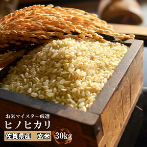 【令和5年産】【玄米30kg】 九州　佐賀県白石産　ひのひかり　【送料無料】【精米無料】【小分け無料】ヒノヒカリ　　　【白石米】【05P02Aug14】【10P30Nov14】