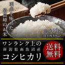 令和元年度産　ワンランク上の新潟県南魚沼産コシヒカリ（JA魚沼みなみ） 玄米10kg（精米無料）（2等米）(送料無料　但し北海道　九州　四国　沖縄を除く）