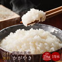 とれたて武蔵の里米 かがやき 玄米25kg(精米無料)(農家直米)(送料無料 但し北海道 中国 九州 四国 沖縄 離島を除く)
