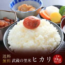 とれたて武蔵の里米 ヒカリ 玄米20kg(精米無料)(農家直米)(送料無料 但し北海道 中国 九州 四国 沖縄 離島を除く)