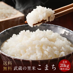 とれたて武蔵の里米こまち 玄米20kg（精米無料）(送料無料　但し北海道　中国　九州　四国　沖縄　離島を除く）