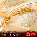 令和5年度産　新潟県岩船産コシヒカリ2等米 玄米30kg　農家侍謹製上質米（精米無料）（2等米）(送料無料　但し北海道　中国　九州　四国　沖縄　離島を除く） 1