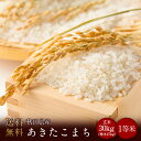 令和元年度産　秋田県産あきたこまち1等米 玄米30kg（精米無料）（1等米）(送料無料　但し北海道　中国　九州　四国　沖縄　離島を除く）