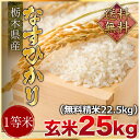 平成29年度産　栃木県産なすひかり1等米 玄米25kg（精米無料）（1等米）(送料無料　但し北海道　 ...