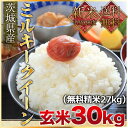 新米 平成29年度産 送料無料 茨城県産ミルキークイーン 玄...