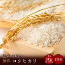 令和5年度産　茨城県産コシヒカリ 玄米5kg（精米無料）（1等米）(送料無料　但し北海道　中国　九州　四国　沖縄を除く）