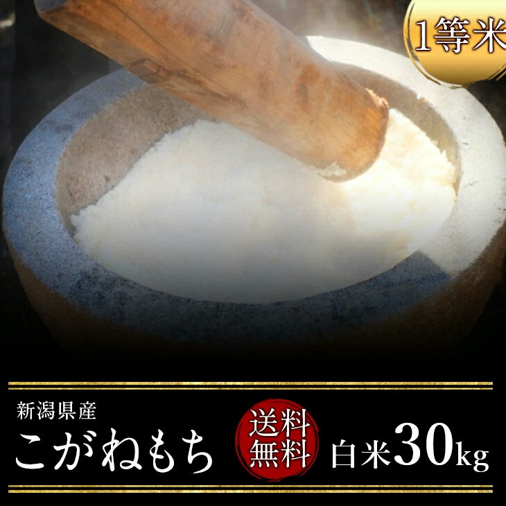 もち米 令和5年度産　新潟県産こがねもち1等米 白米30kg（白米）（もち米）（1等米）(送料無料　但し北海道　中国　九州　四国　沖縄　離島を除く）