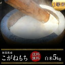 もち米 令和5年度産　新潟県産こがねもち1等米 白米5kg（白米）（もち米）（1等米）(送料無料　但し北海道　中国　九州　四国　沖縄　離島を除く）