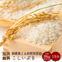 令和元年度産 新潟県産こしいぶきのワンランク上の1等米 玄米...