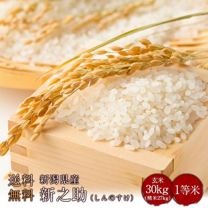 令和5年度産 新潟県産新之助（しんのすけ） 玄米30kg（精米無料）（1等米）(送料無料 但し北海道 中国 九州 四国 沖縄 離島を除く）