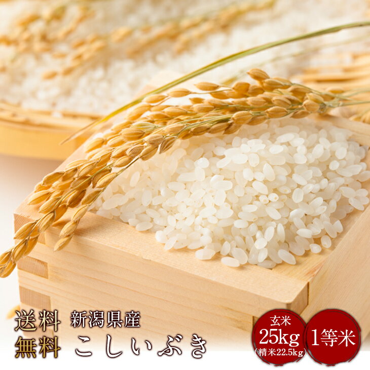 令和5年度産　新潟県産こしいぶき1等米 （特別栽培米）玄米25kg（精米無料）（1等米）(送料無料　但し北海道　中国　九州　四国　沖縄　離島を除く）