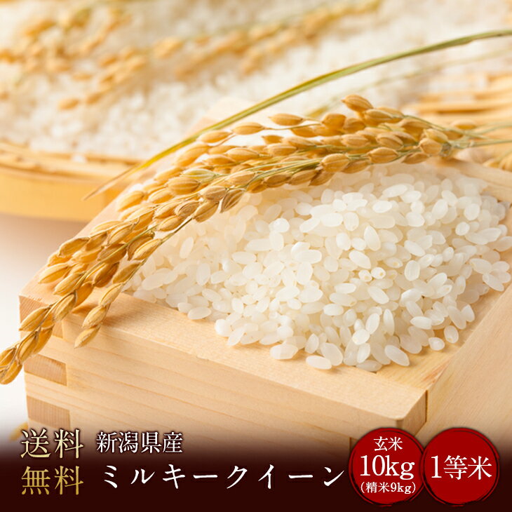 令和5年度産　新潟県産ミルキークイーン 2等米 玄米5kg（精米4.5kg）（精米無料）（2等米）(送料無料　但し北海道　中国　九州　四国　沖縄を除く）お米 白米