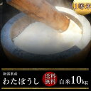 もち米 令和5年度産　新潟県産わたぼうし 白米10kg（白米）（もち米）（1等米）(送料無料　但し北海道　中国　九州　四国　沖縄　離島を除く）