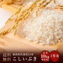 令和5年度産　新潟県佐渡産JA米こしいぶき 玄米10kg 精米9kg（精米無料）(送料無料　但し北海道　中国　九州　四国　沖縄　離島を除く）