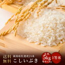 令和5年度産　新潟県佐渡産JA米こしいぶき 玄米5kg 精米4.5kg（精米無料）(送料無料　但し北海道　中国　九州　四国　沖縄　離島を除く）