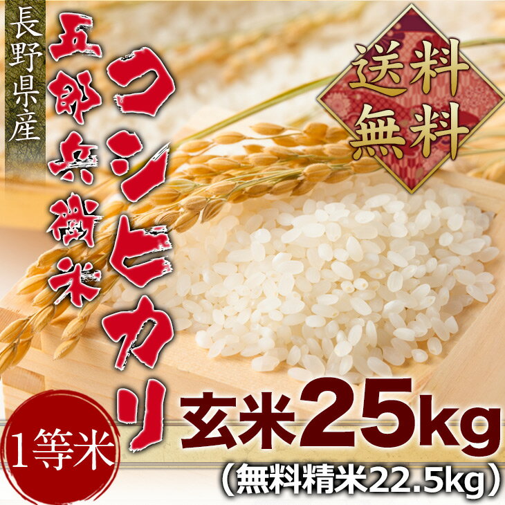 令和5年度産　長野県産五郎兵衛米コシヒカリ1等米 玄米25kg（精米無料）（1等米）(送料無料　但し北海道　中国　九州　四国　沖縄　離島を除く）