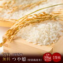 令和元年山形県産つや姫1等米（特別栽培米） 玄米10kg（精米無料）（1等米）(送料無料　但し北海道　中国　九州　四国　沖縄を除く）