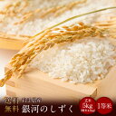 令和5年 岩手県産銀河のしずく 1等米 玄米 5kg 精米4.5kg（精米無料）（1等米）(送料無料　但し北海道　中国　九州　四国　沖縄　離島を除く）