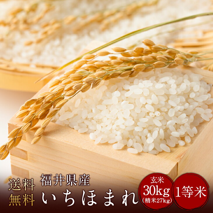 令和5年産　送料無料　福井県産いちほまれ 玄米30kg（精米無料）（1等米）(送料無料　但し北海道　中国　九州　四国　沖縄　離島を除く）