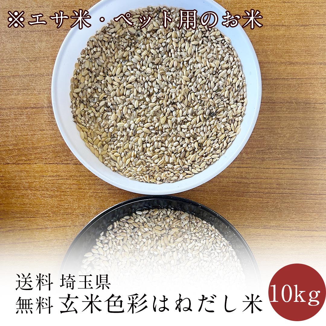 ڥơڥåѤΤơۺ̸ƿ̤Ϥͤ ̵ 10kg(̵â̳ƻ񡡶彣͹񡡲