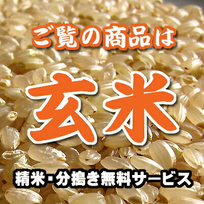 【SAランク限定】 北魚沼産 コシヒカリ 30年産 玄米 30kg 【送料無料（一部地域除く）】