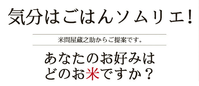 お米ギフト食べくらべ 2合パック9種 送料無料 (一部地域を除く) 内祝い お中元 お歳暮 魚沼 つや姫 龍の瞳 ゆめぴりか さがびより 森のくまさん ミルキークイーン もち米 新之助 食べ比べ 出産内祝い 快気祝い お返し 結婚内祝い 出産祝い 香典返し 新築祝い