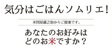 内祝い 特A米 ギフト お米ギフト食べくらべ 3合パック6種 出産内祝い 結婚内祝い 香典返し 入学内祝い 快気内祝い 快気祝い 初節句 内祝 母の日 入学祝い お返し お見舞 御礼 新築 出産 送料無料 お米 食べ比べ 福利厚生 誕生日 プレゼント 人気 ランキング 贈り物 龍の瞳