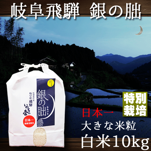 岐阜県飛騨産限定の新ブランド。とにかく米粒が大きい！そして、ウマイ！完全限定品♪　銀の朏 ぎんのみかづき 岐阜県飛騨産 いのちの壱 令和7年産 白米10kg 特別栽培米 内祝い お中元 お歳暮 銀のみかづき 送料無料